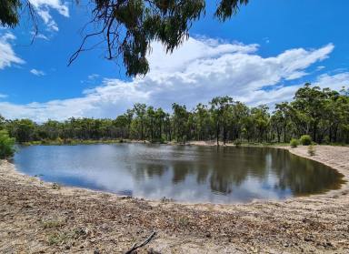 Farm Sold - QLD - Deepwater - 4674 - ESCAPE TO 59.6 ACRES WITH HUGE DAM AND CAMPSITE  (Image 2)