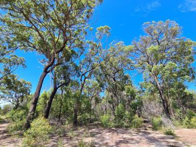 Farm Sold - QLD - Deepwater - 4674 - ESCAPE TO 59.6 ACRES WITH HUGE DAM AND CAMPSITE  (Image 2)