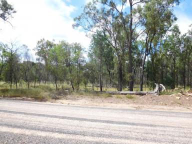 Farm Sold - QLD - Dalby - 4405 - 107 acres mostly treed. Great weekender for camping or living off the grid.  (Image 2)