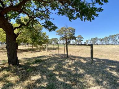 Farm For Sale - VIC - Eddington - 3472 - Escape Melbourne!  Approx 2 Acres 20 Kilometers to Maldon One Street Back from the Loddon River  (Image 2)
