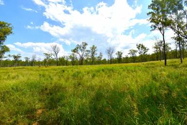 Farm Sold - QLD - Good Night - 4671 - 150 ACRES - GREAT STARTER BLOCK  (Image 2)