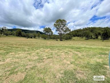 Farm Sold - QLD - Widgee - 4570 - UNAFFECTED BY FLOODS AND POWER OUTAGES!  (Image 2)