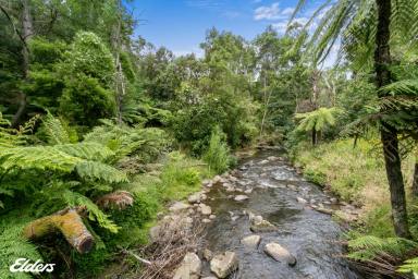 Farm Sold - VIC - Tarra Valley - 3971 - PARADISE IN THE BEAUTIFUL TARRA VALLEY  (Image 2)