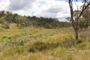 Farm Sold - NSW - Dundee - 2370 - Dwelling entitlement & over 400 metre of Severn River frontage  (Image 2)