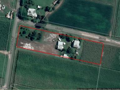 Farm Sold - QLD - Island Plantation - 4650 - Great Small Acreage!  (Image 2)