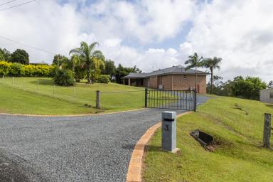 Farm Sold - NSW - Waterview Heights - 2460 - CHANGED CIRCUMSTANCES  SALE REQUIRED!  (Image 2)