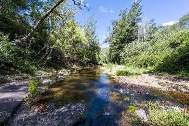Farm Sold - NSW - Blaxlands Creek - 2460 - Pristine Water like this is hard to come by!  (Image 2)