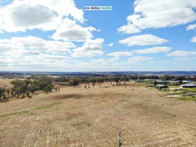 Farm Sold - NSW - Inverell - 2360 - WINDOONA ESTATE - RELAXED, EASY LIVING  (Image 2)