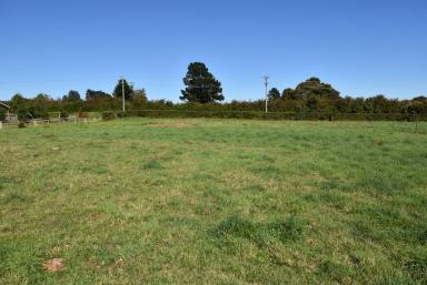 Farm Sold - TAS - Westbury - 7303 - PERFECT FOR A HOME OR FURTHER DEVELOPMENT  (Image 2)
