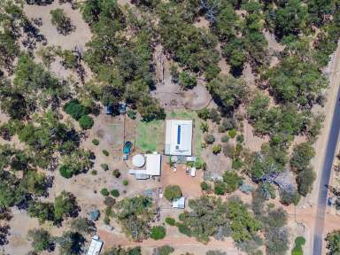 Farm Sold - WA - Lake Clifton - 6215 - BEAUTIFUL PEACEFUL HAVEN  (Image 2)