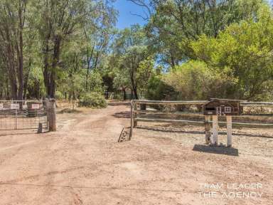 Farm Sold - WA - Lake Clifton - 6215 - BEAUTIFUL PEACEFUL HAVEN  (Image 2)