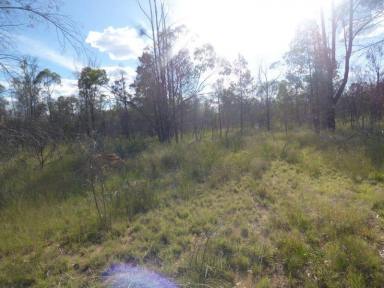 Farm Sold - QLD - Tara - 4421 - Lightly timbered vacant land - 38 hectares  (Image 2)