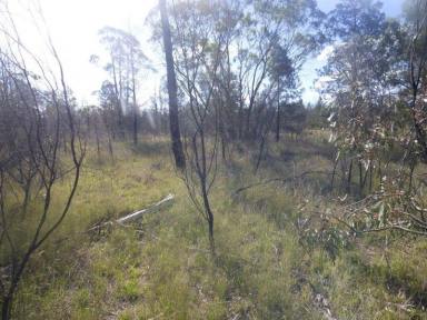 Farm Sold - QLD - Tara - 4421 - Lightly timbered vacant land - 38 hectares  (Image 2)