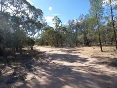 Farm Sold - QLD - Tara - 4421 - A weekender with somewhere to camp - roof over head  (Image 2)