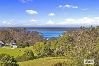 Farm Sold - VIC - Metung - 3904 - UNDER OFFER!  (Image 2)