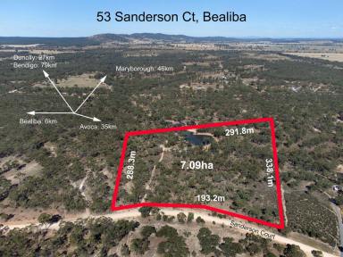 Farm Sold - VIC - Bealiba - 3475 - Expansive dam on a picturesque Aussie bushland block of 7.09 hectares zoned rural living!  (Image 2)