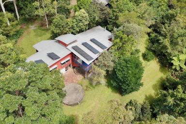 Farm Sold - QLD - Witta - 4552 - SOLD BY BRANT AND BERNHARDT PROPERTY!  (Image 2)