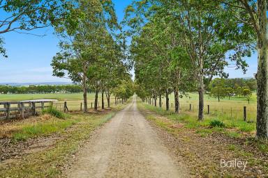 Farm Sold - NSW - Singleton - 2330 - Family home with hilltop views on 25 Acres  (Image 2)