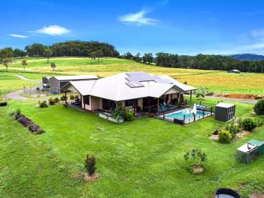 Farm Sold - QLD - Eumundi - 4562 - Prime 32 Acres with Dual Living on the Edge of Eumundi  (Image 2)