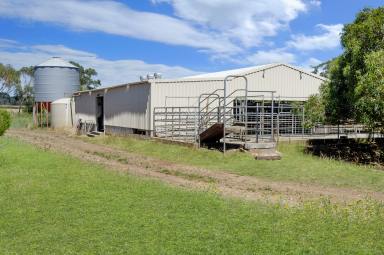 Farm Sold - VIC - Gorae West - 3305 - Rare Opporunity  (Image 2)
