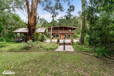 Farm Sold - VIC - Devon North - 3971 - "TERRIGAL"  A TRANQUIL TREE CHANGE IN THE COUNTRY!  (Image 2)