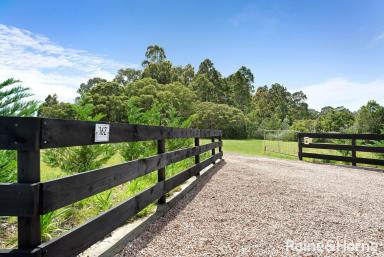 Farm Sold - NSW - Nowra Hill - 2540 - Vacant Lifestyle Acreage Block!  (Image 2)