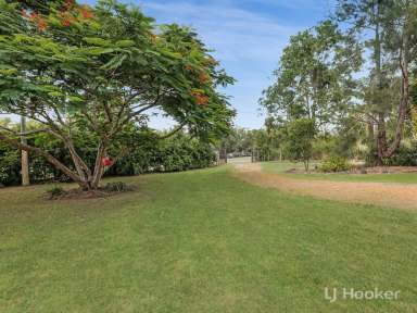 Farm Sold - QLD - Kensington Grove - 4341 - Want Space or an Extra Income You Choose  (Image 2)