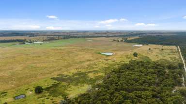 Farm Sold - VIC - Stradbroke - 3851 - 325 Acres Approx Grazing/cropping Property  (Image 2)