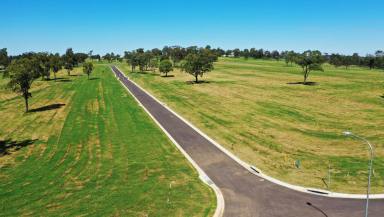 Farm Sold - QLD - Warwick - 4370 - REGISTERED LAND READY TO BUILD ON  (Image 2)