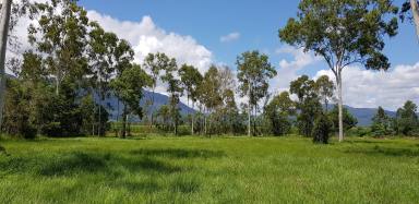 Farm Sold - QLD - Carruchan - 4816 - Vacant semi cleared rural block with mountain views - power & water available  (Image 2)