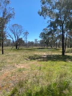 Farm Sold - NSW - Inverell - 2360 - Lifestyle and living in a quiet location!  (Image 2)
