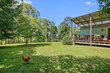 Farm Sold - QLD - North Deep Creek - 4570 - COMFORTABLE FAMILY HOME  (Image 2)