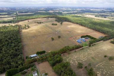 Farm Sold - VIC - Laang - 3265 - MODEL OUTPADDOCK: OUTSTANDING LIFESTYLE PROPERTY  (Image 2)