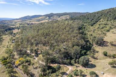 Farm Sold - QLD - Mount Whitestone - 4347 - Rural lifestyle opportunity  (Image 2)