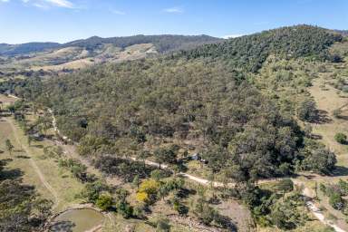 Farm Sold - QLD - Mount Whitestone - 4347 - Rural lifestyle opportunity  (Image 2)