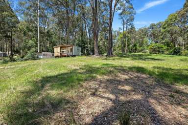 Farm Sold - NSW - Narooma - 2546 - Private Small Acreage  (Image 2)