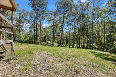 Farm Sold - NSW - Narooma - 2546 - Private Small Acreage  (Image 2)