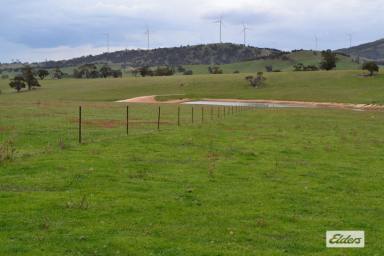 Farm For Sale - VIC - Crowlands - 3377 - 'Glendhu Valley' Western District Grazing/Wool Production  (Image 2)