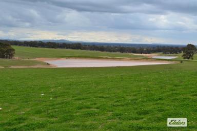 Farm For Sale - VIC - Crowlands - 3377 - 'Glendhu Valley' Western District Grazing/Wool Production  (Image 2)