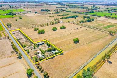 Farm Sold - VIC - Lockington - 3563 - Fantastic horse Property  (Image 2)