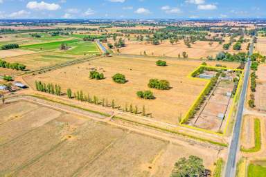 Farm Sold - VIC - Lockington - 3563 - Fantastic horse Property  (Image 2)