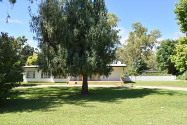 Farm Sold - NSW - Moree - 2400 - 4047m2 WITH RIVER FRONTAGE IN GREENBAH  (Image 2)