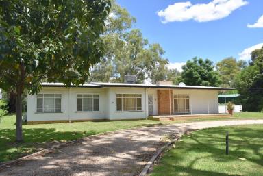 Farm Sold - NSW - Moree - 2400 - 4047m2 WITH RIVER FRONTAGE IN GREENBAH  (Image 2)