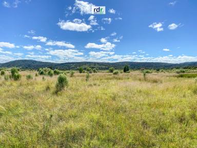 Farm For Sale - NSW - Inverell - 2360 - 500ac GRAZING PROPERTY  (Image 2)
