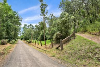Farm For Sale - NSW - St Albans - 2775 - Rustic Country Cottage on 8 Magical Acres – Your Very Own Piece Of Paradise!  (Image 2)