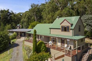 Farm For Sale - VIC - Apollo Bay - 3233 - COUNTRY LIFESTYLE MEETS COASTAL LIVING  (Image 2)