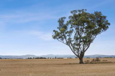 Farm Sold - VIC - Rowsley - 3340 - portion "Fairview Park"  (Image 2)