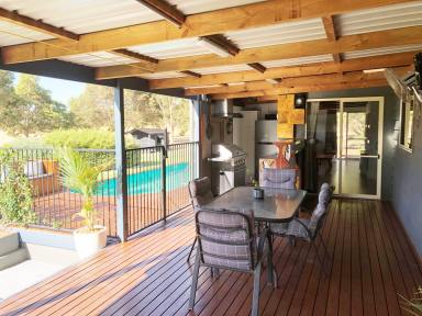 Farm Sold - SA - Naracoorte - 5271 - Lifestyle Living With Everything - Be Prepared To Fall In Love - 3.10 Acres  (Image 2)