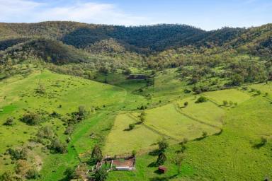 Farm Sold - QLD - West Haldon - 4359 - "Stringy Bark Mountain" - First Time Offered in 130 Years  (Image 2)