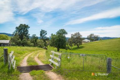 Farm Sold - NSW - Bega - 2550 - 60 ACRES WITH BROGO RIVER FRONTAGE  (Image 2)